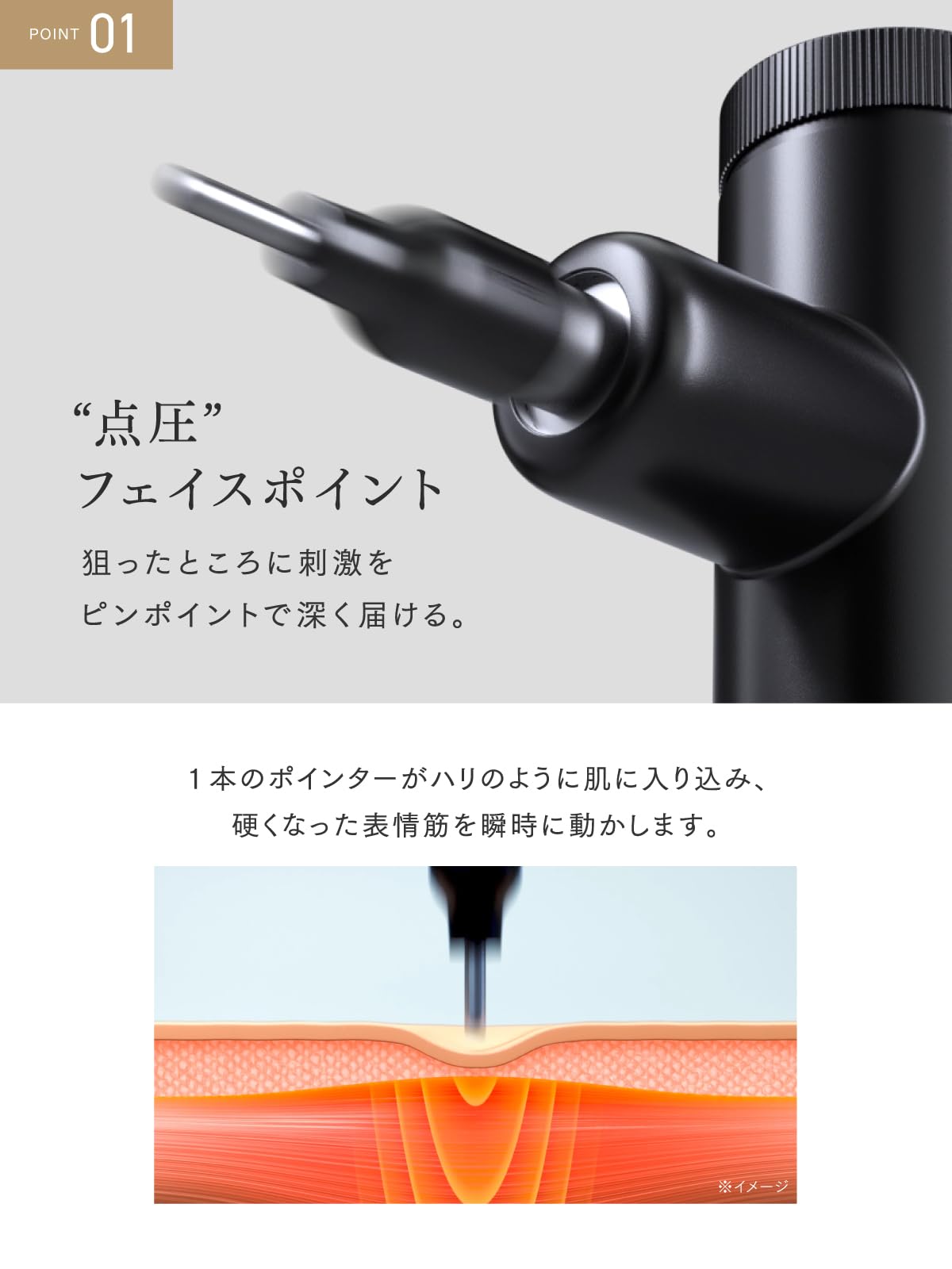 Amazon.co.jp: MYTREX REBIVE LIFT POINTER フェイスポインター マイ